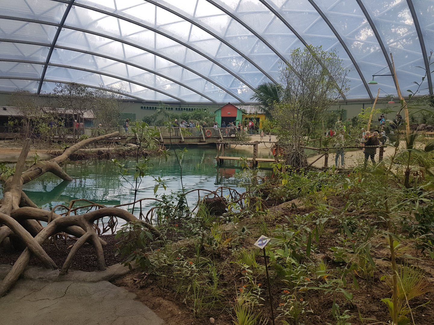 View in Mangrove-hall