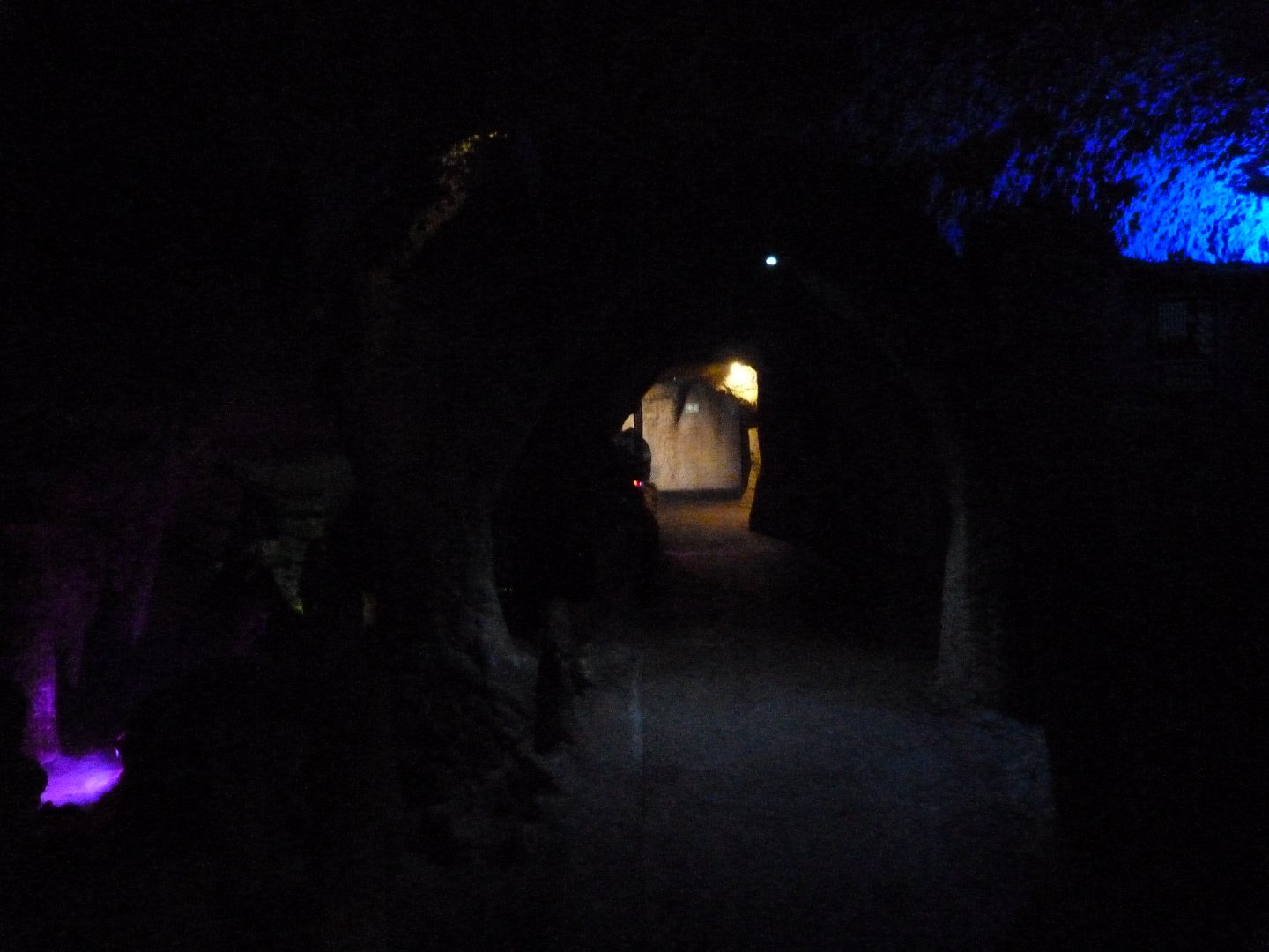 View in "Misterios bajo tierra" -Faunia (2025)