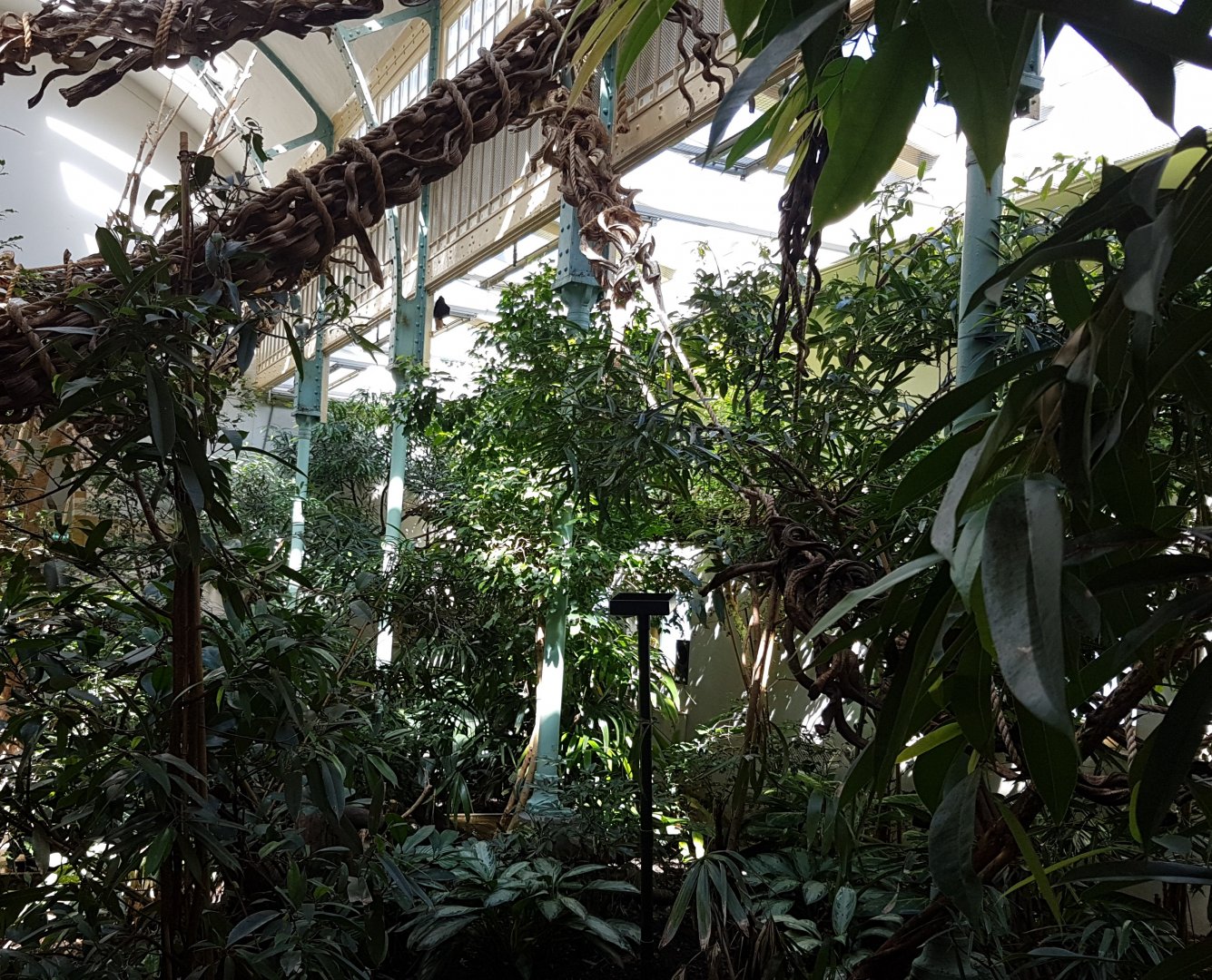 View in Monkey-house