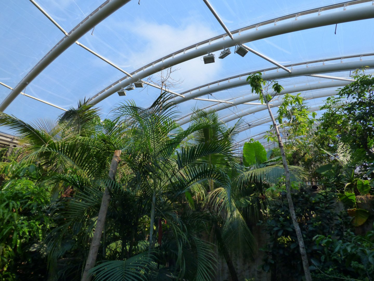 View in Monsoon Forest