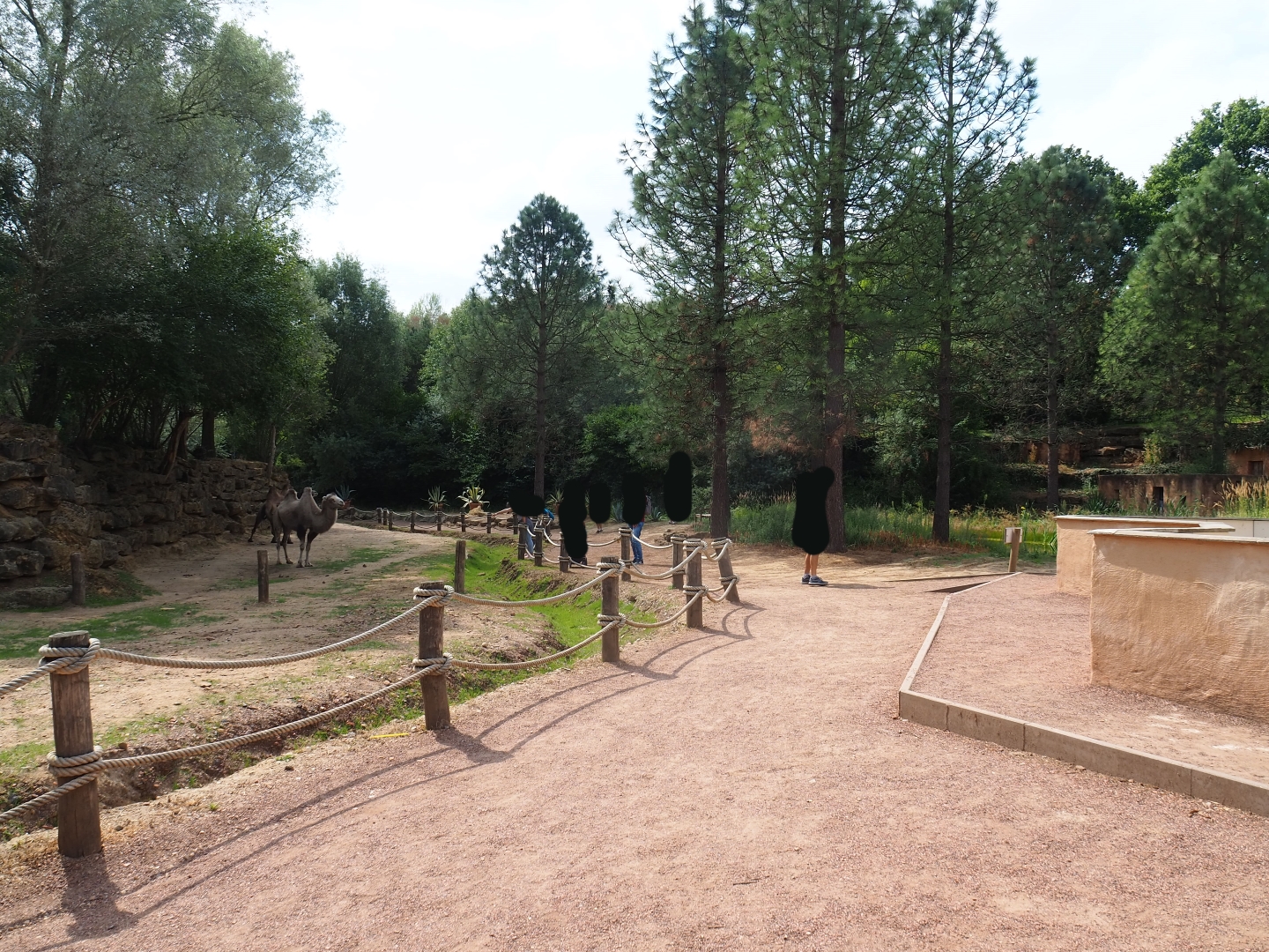 View in Moroccan area (Aug 28th, 2018)