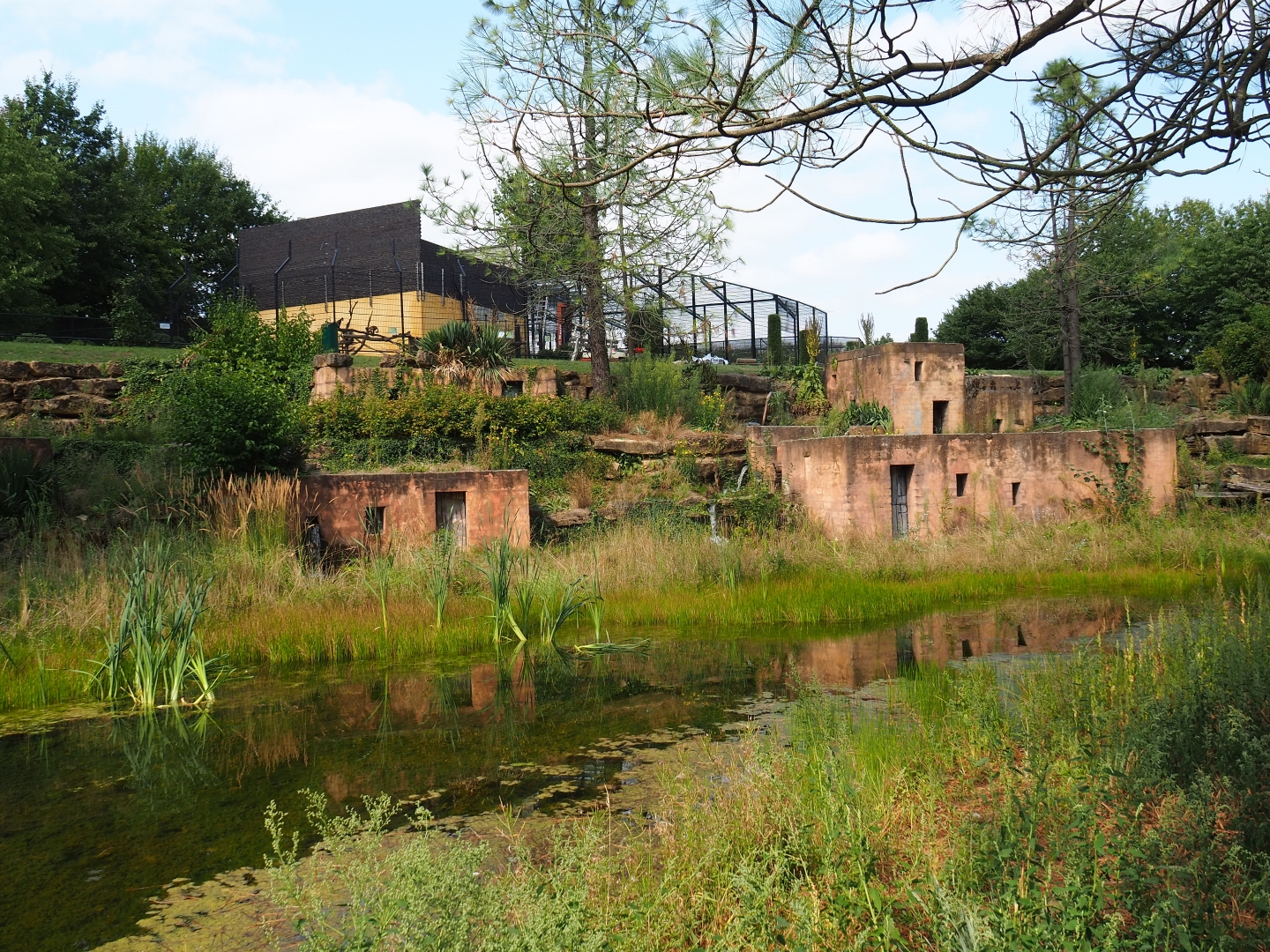 View in Moroccan area (Aug 28th, 2018)