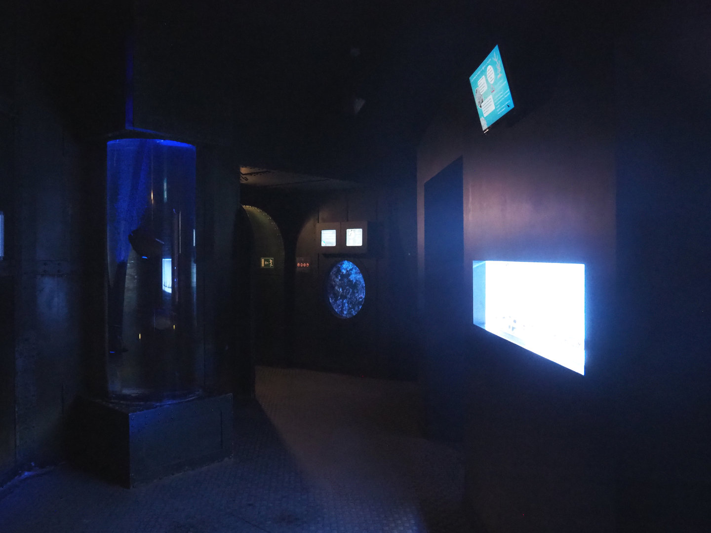 View in Nautilus near aquatic nursery, 2022-09-14