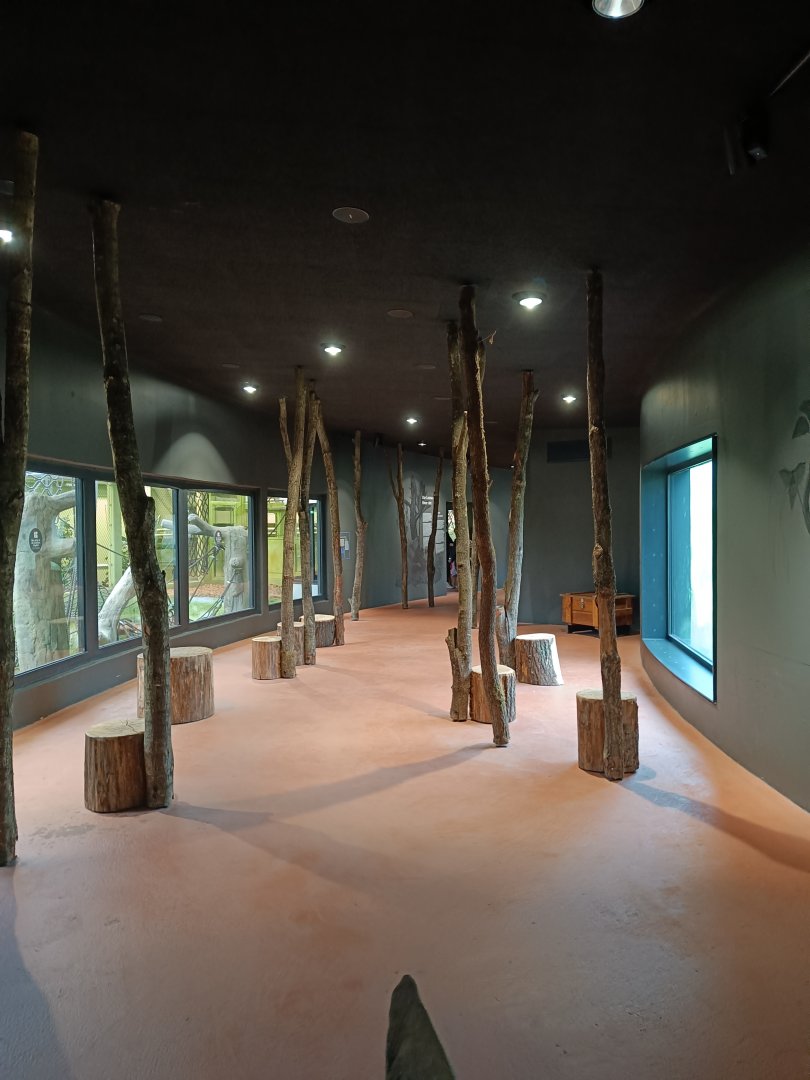 View in new Orangutan-Haus