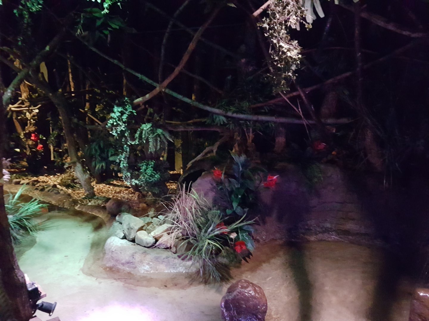 View in Nocturnal House