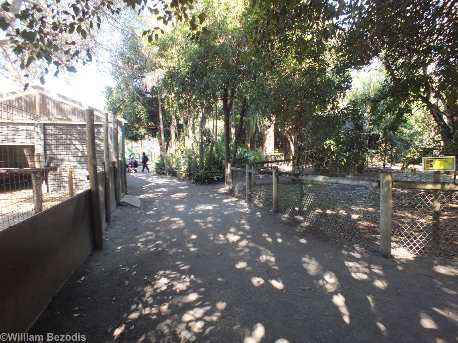 View in North-east Section - Caversham Wildlife Park