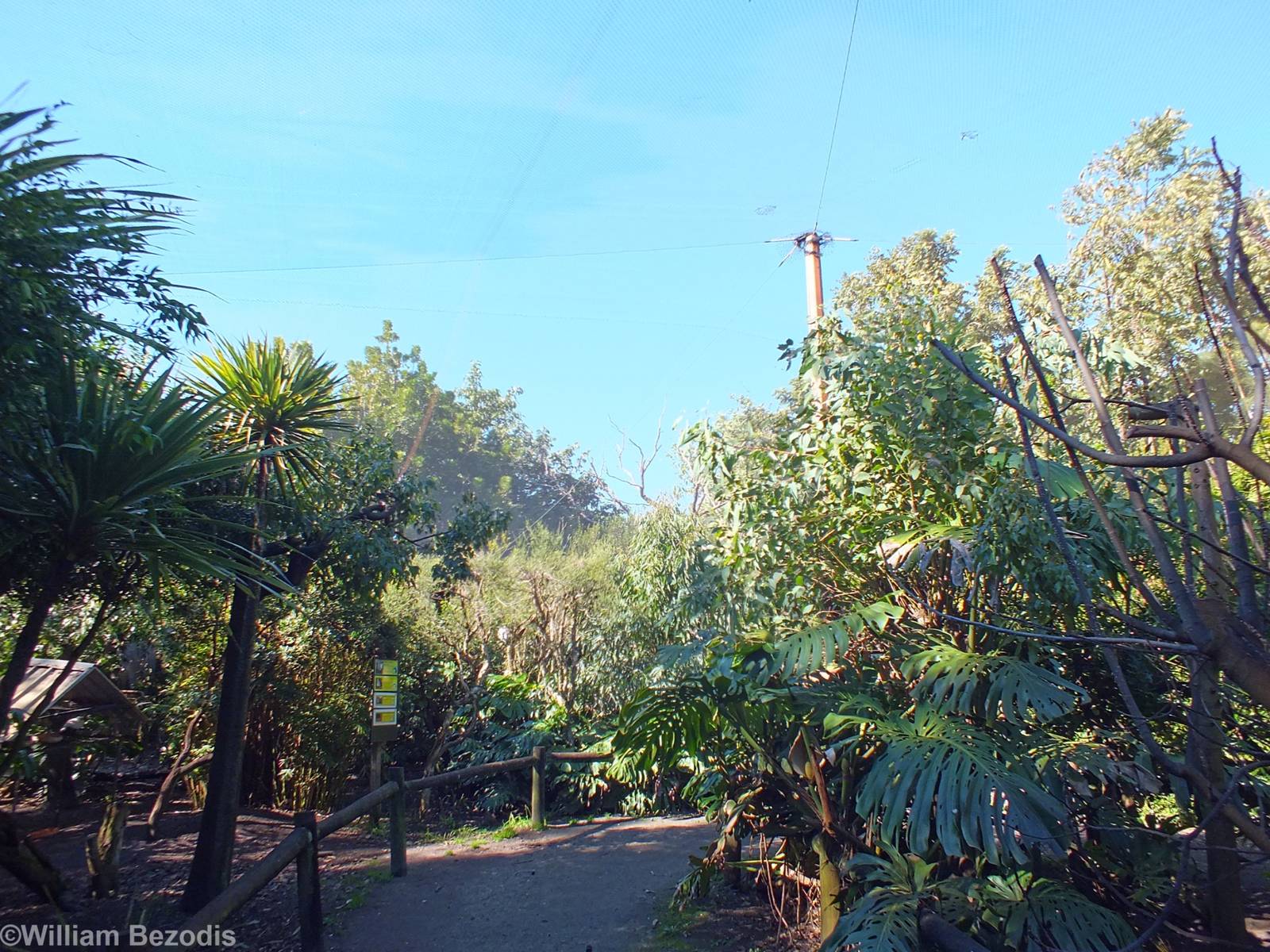 View in North-east Section Walkthrough Aviary - Caversham Wildlife Park