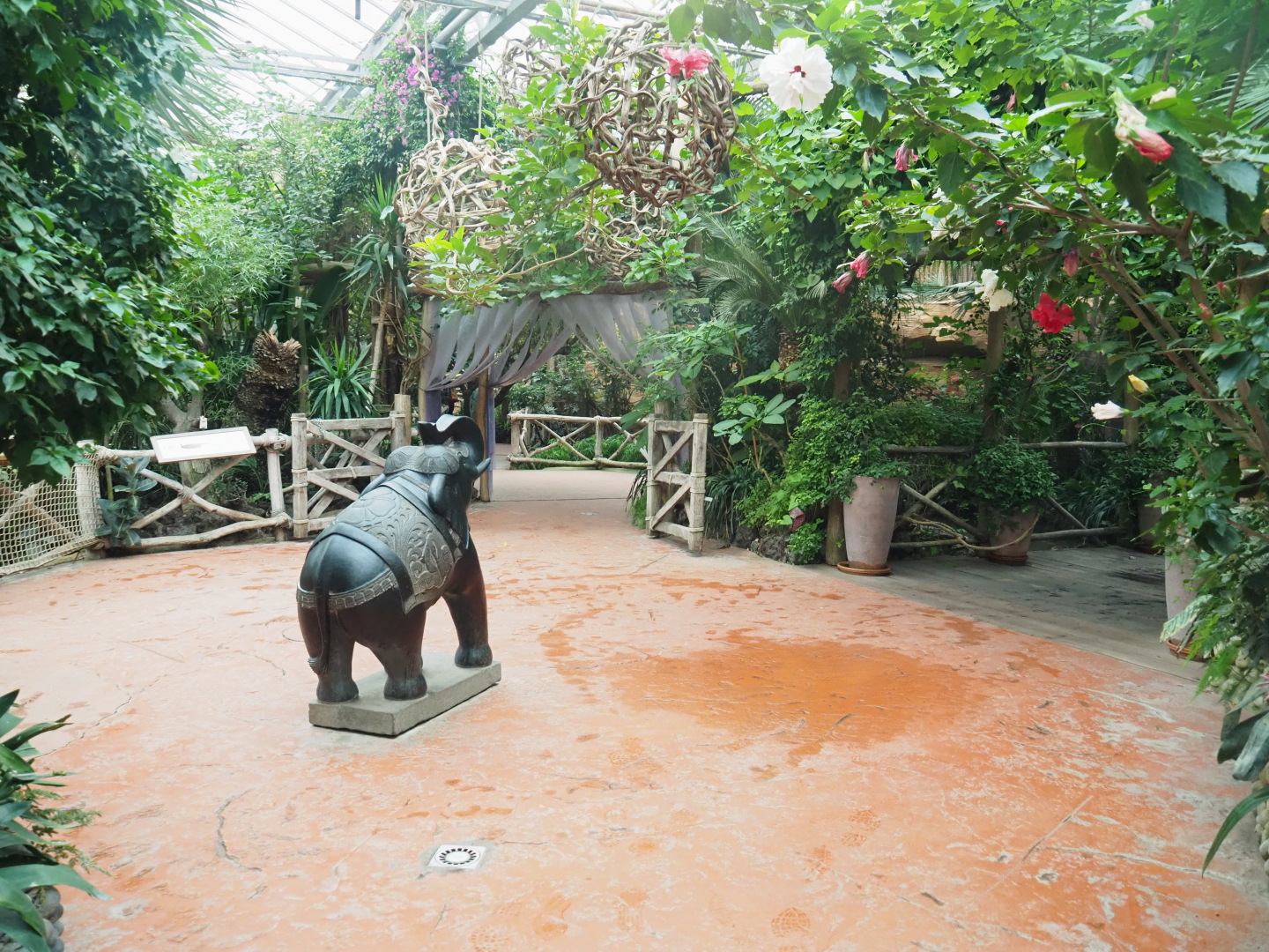 View in Oasis, 2022-09-14