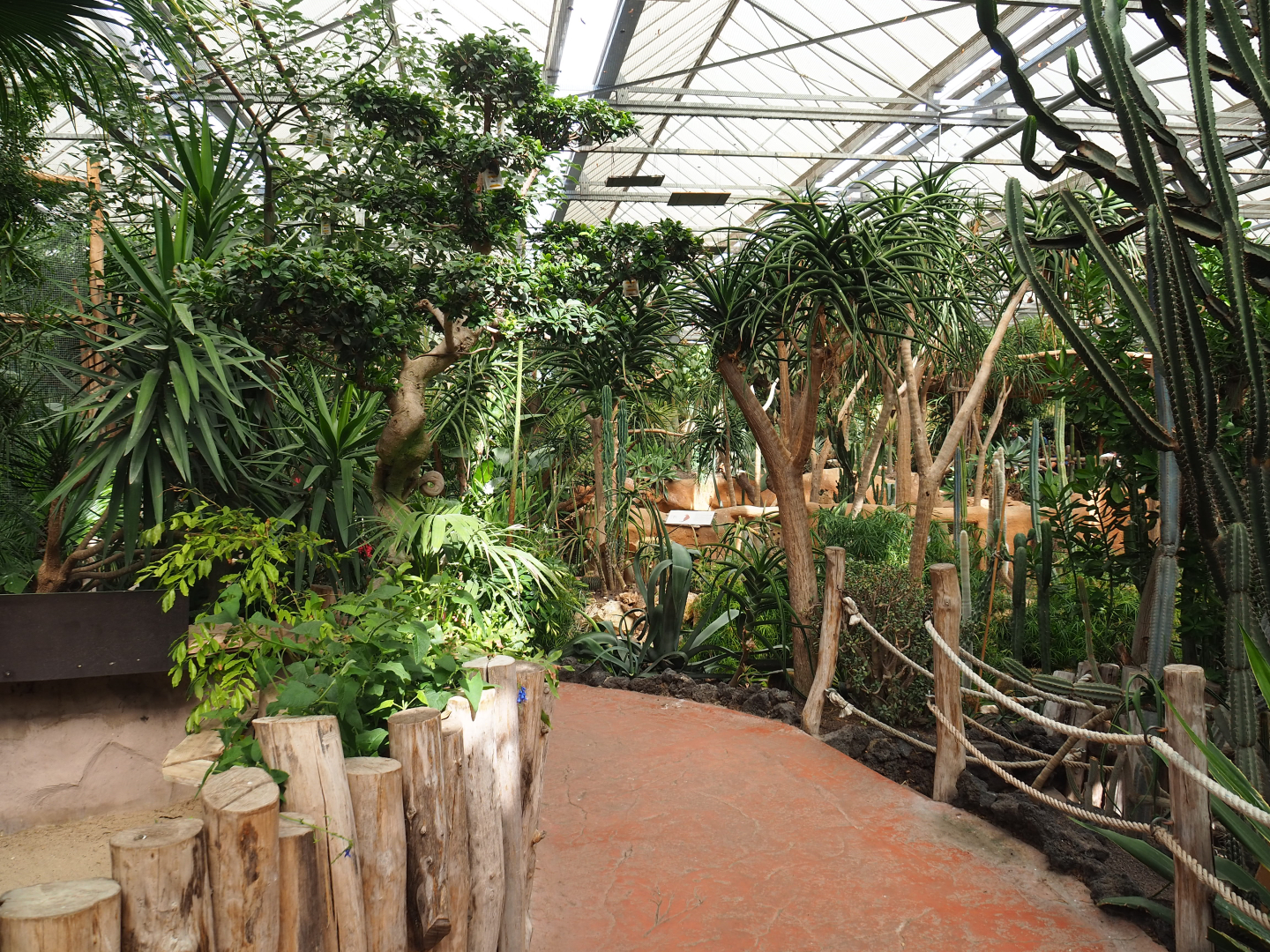 View in Oasis, 2022-09-14