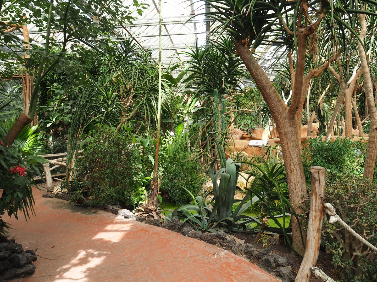 View in Oasis, 2022-09-14