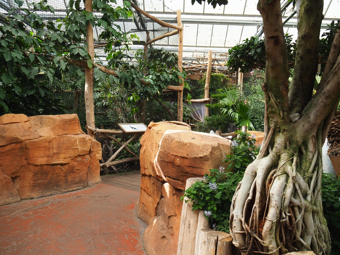 View in Oasis with exterior of Sclater's crowned pigeon aviary and Black-tailed prairie dog exhibit, 2022-09-14