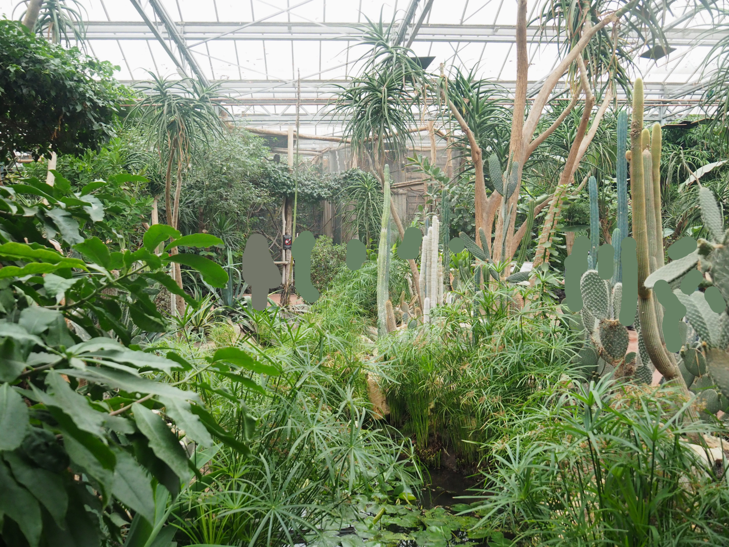 View in Oasis with oasis garden, pond and Amazon parrot aviaries, 2022-09-14