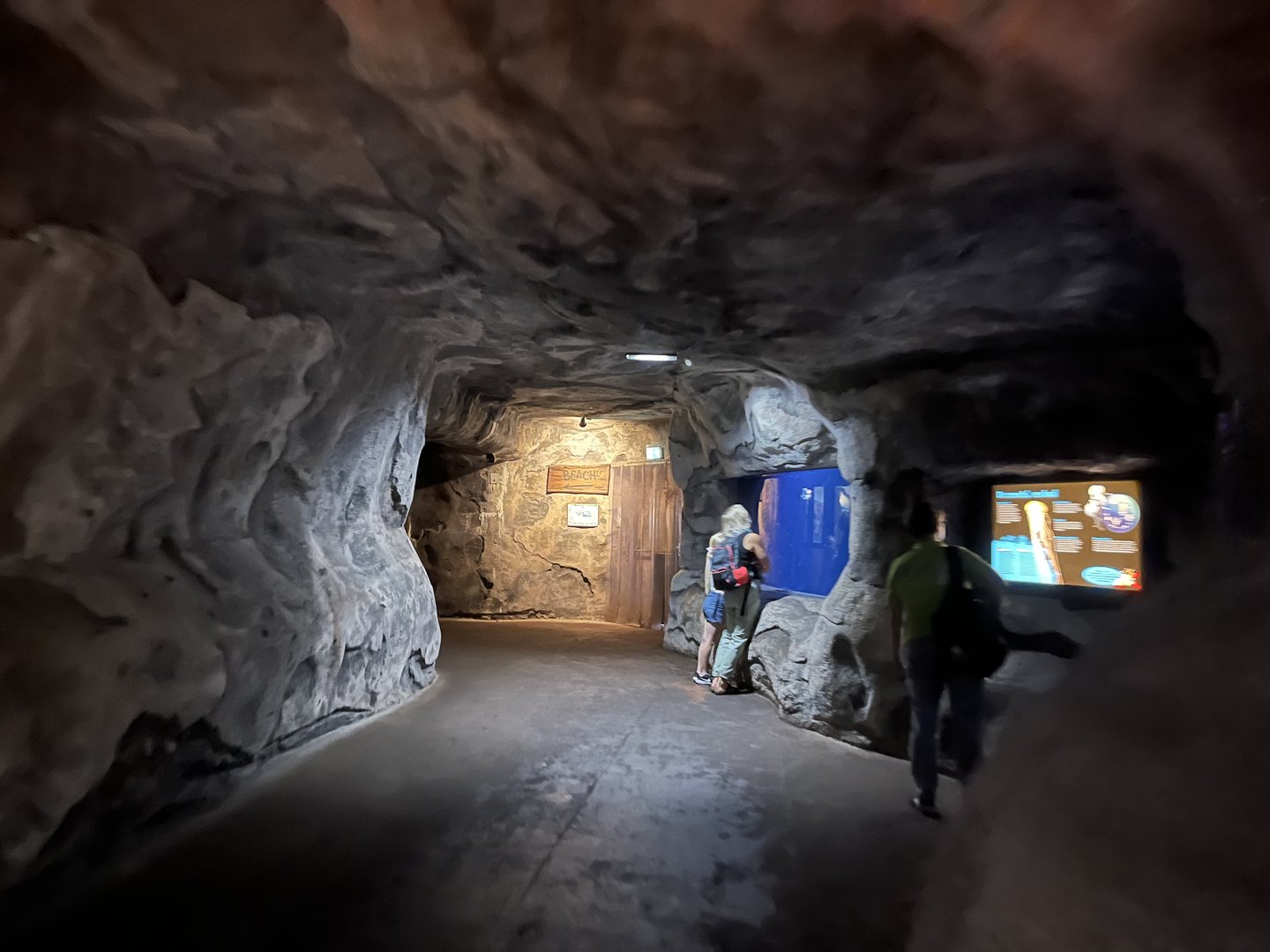 View in Ocean 6.7.23