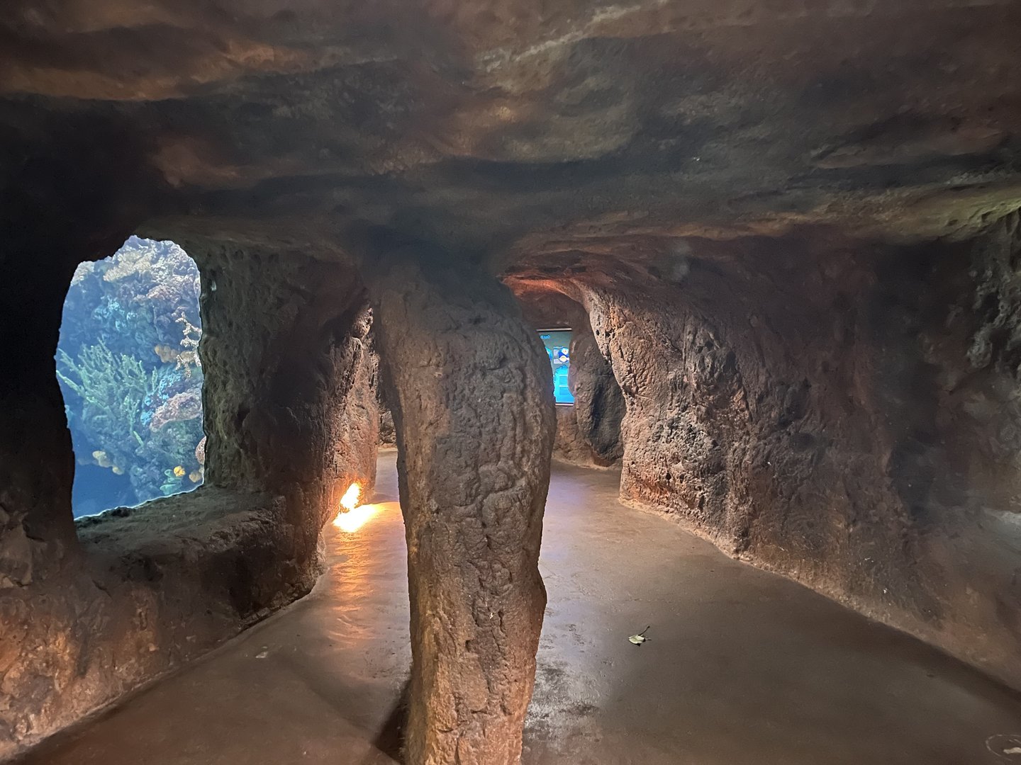 View in Ocean 6.7.23