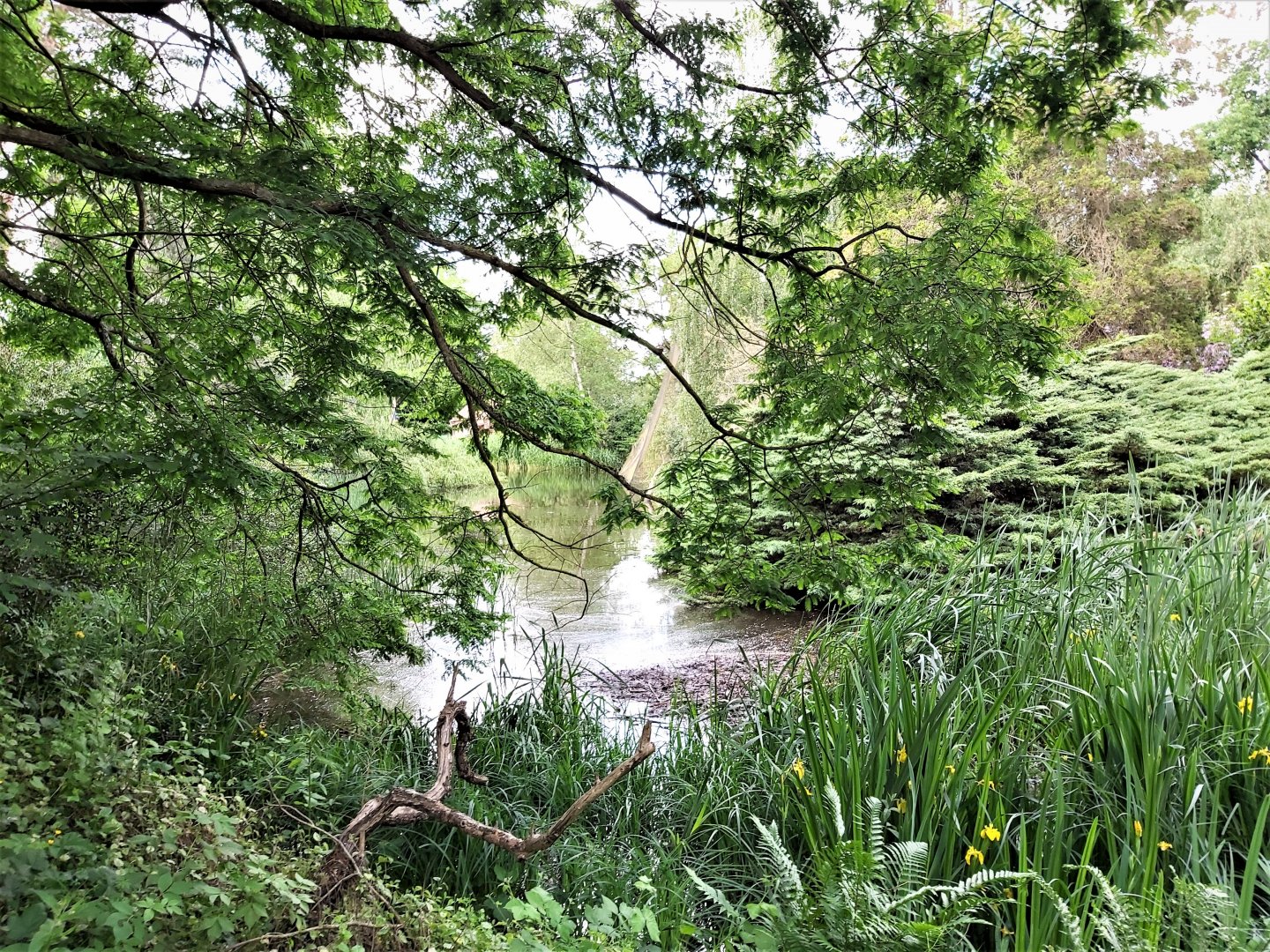 View in Oceania section