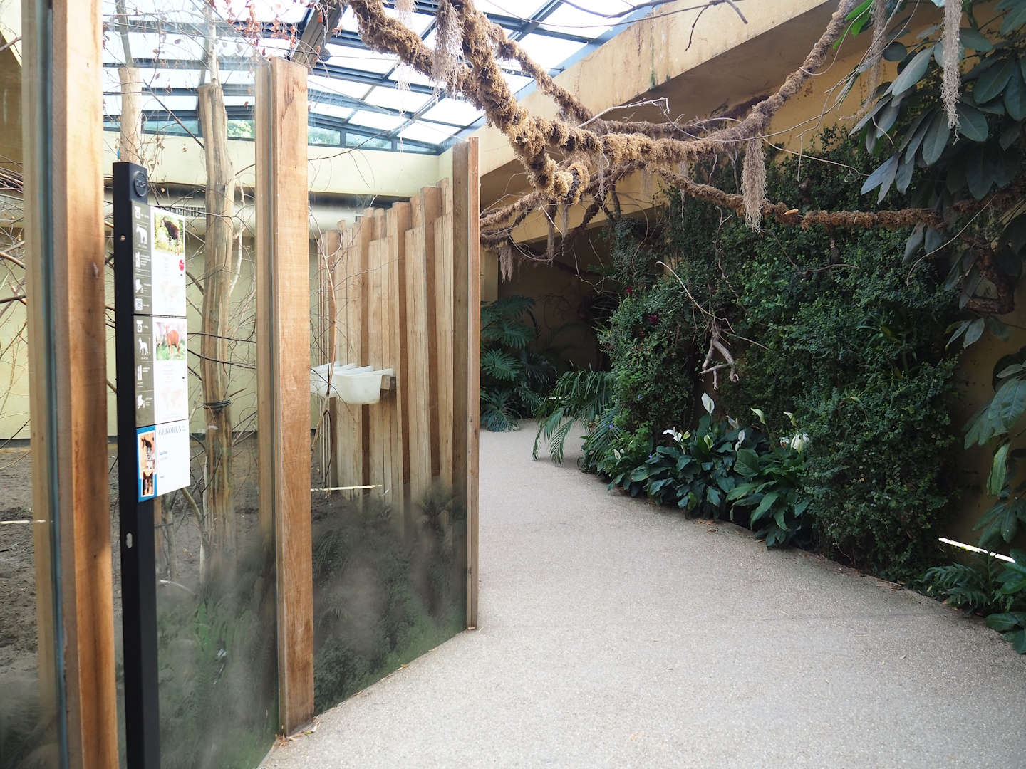 View in okapi house, 2023-07-22