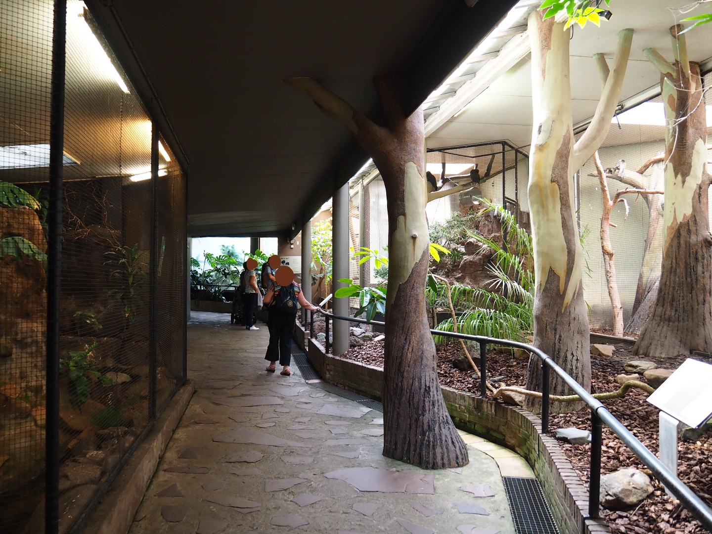 View in old pheasantry bird house (Sep 16th, 2018)