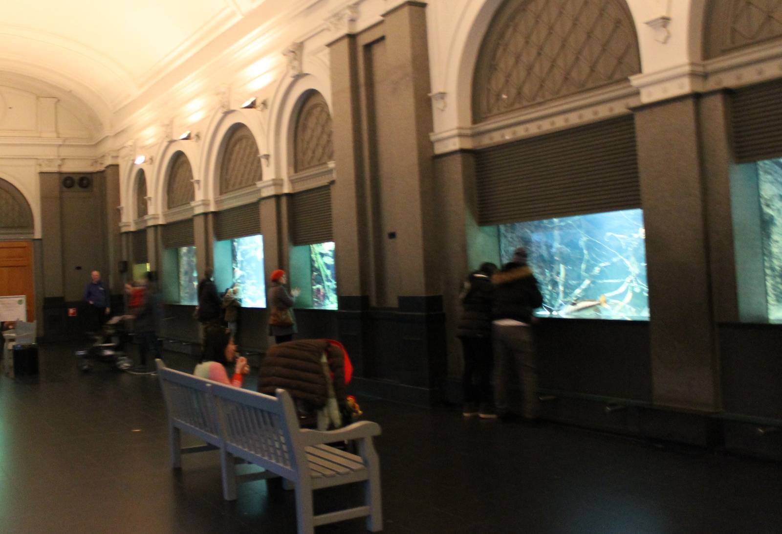 View in one of the Aquarium halls
