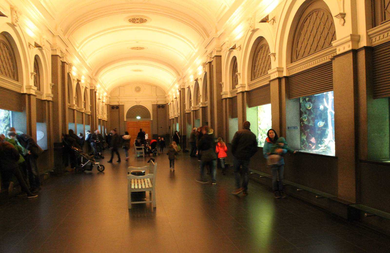 View in one of the Aquarium halls