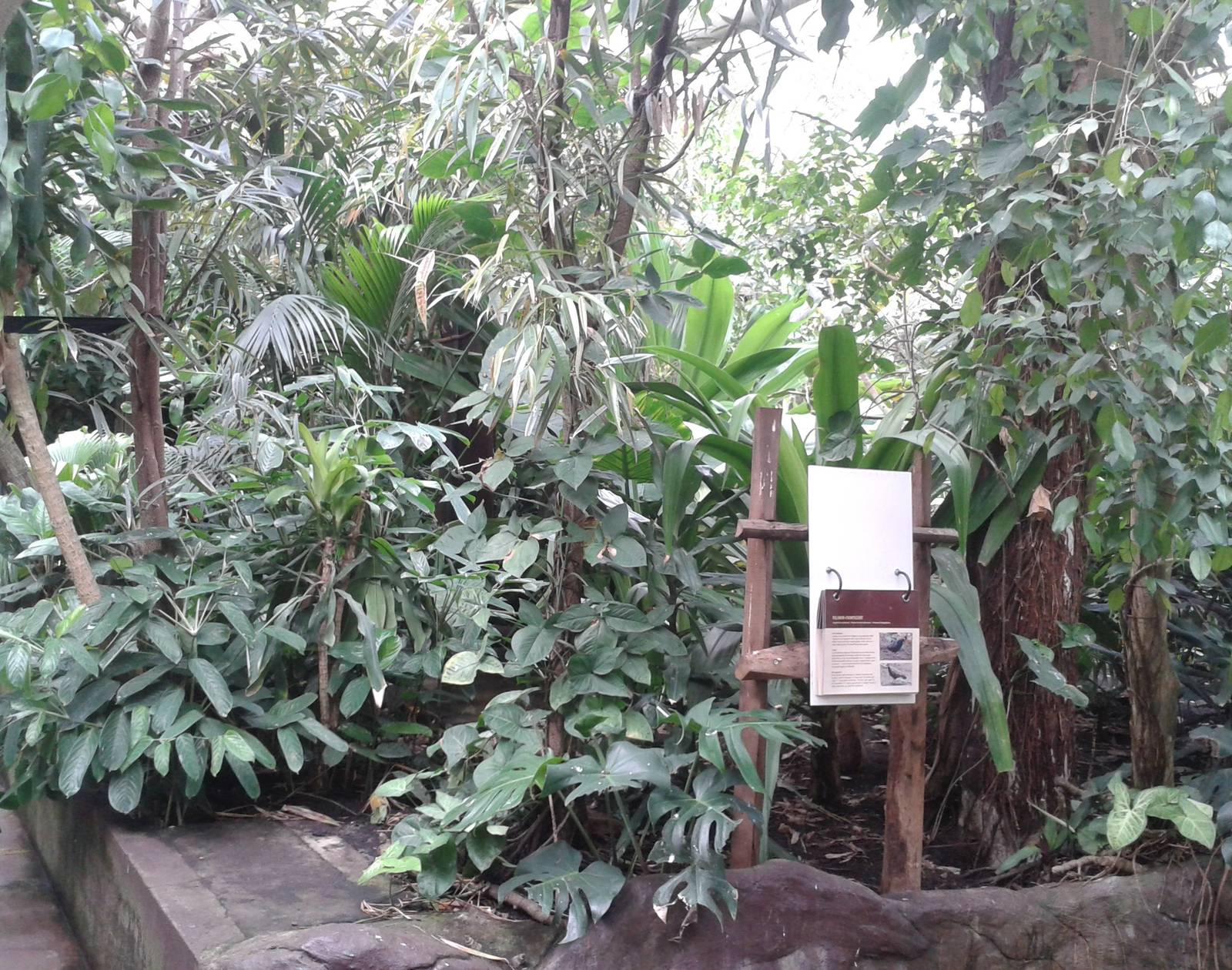 View in one of the free-flight sections