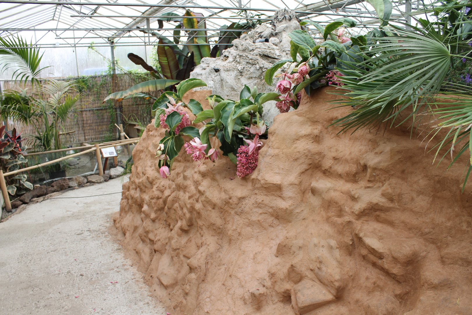 View in one of the halls