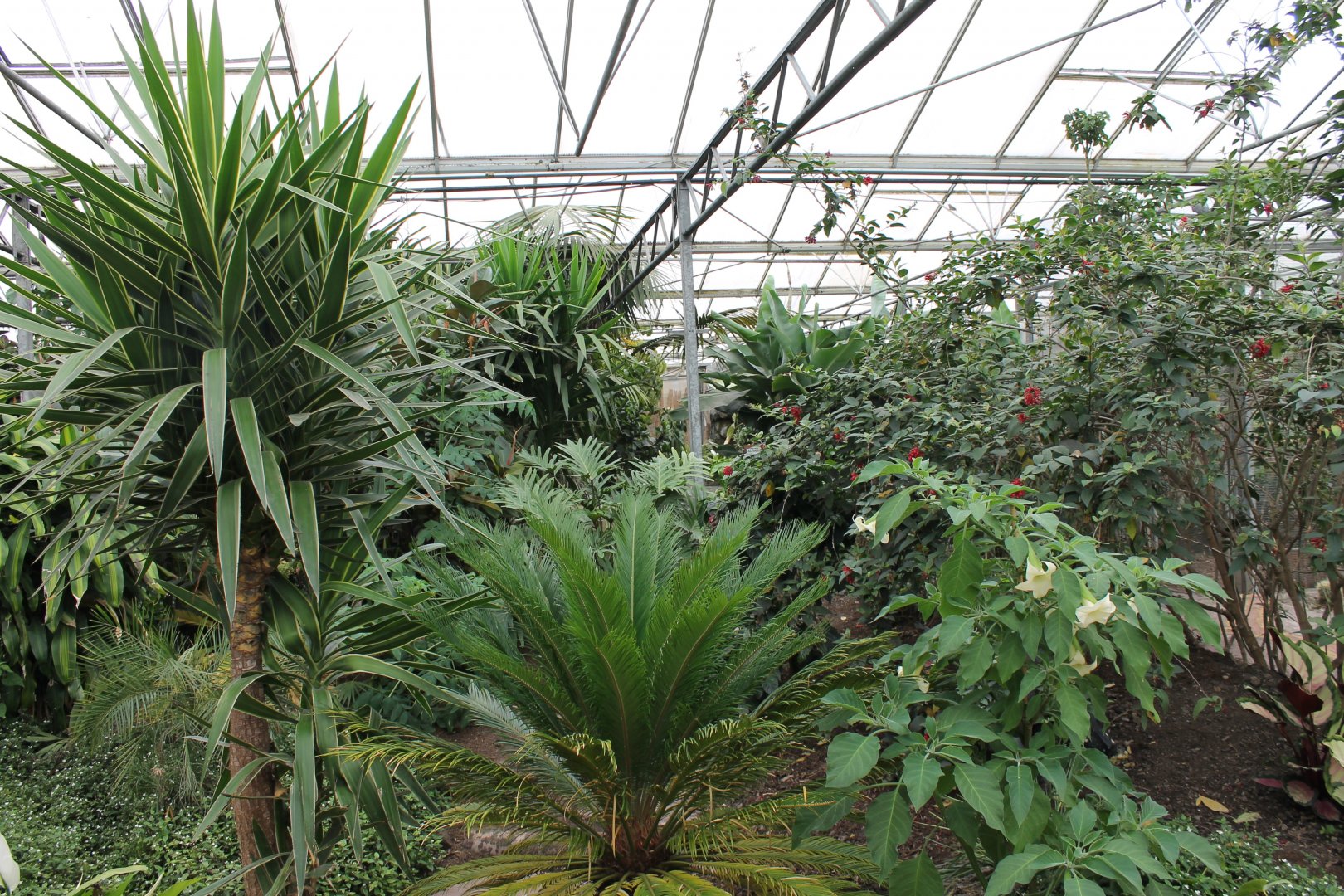 View in one of the Halls