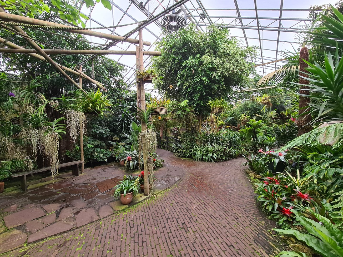 View in Orchid garden hall