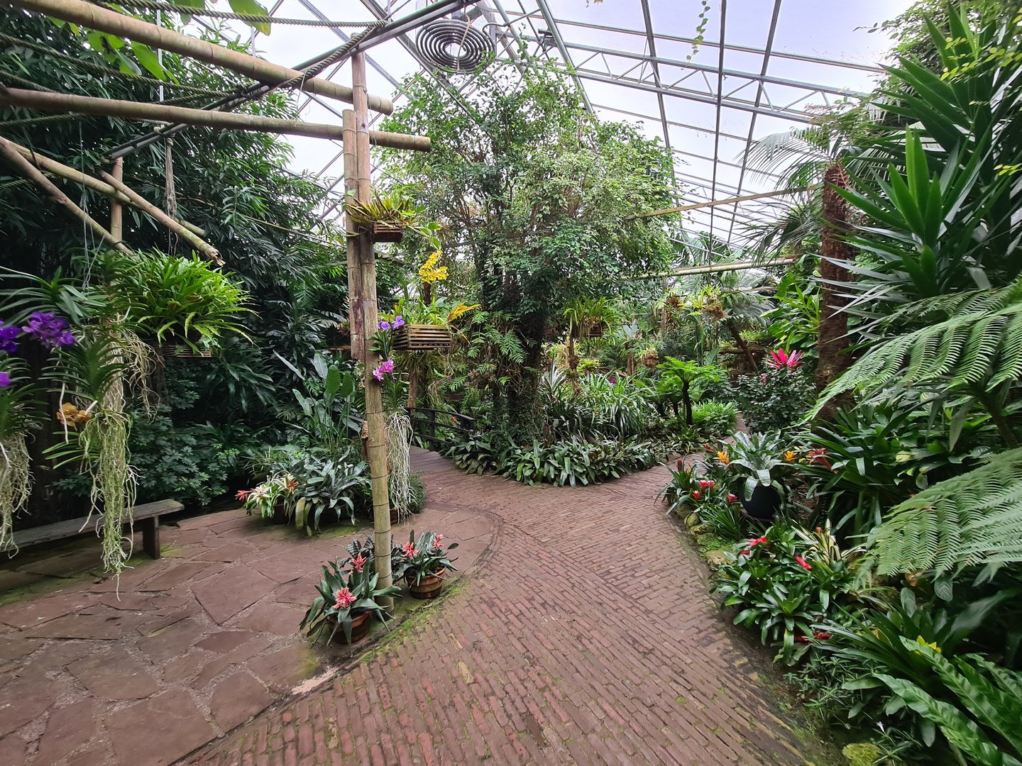 View in Orchid garden hall