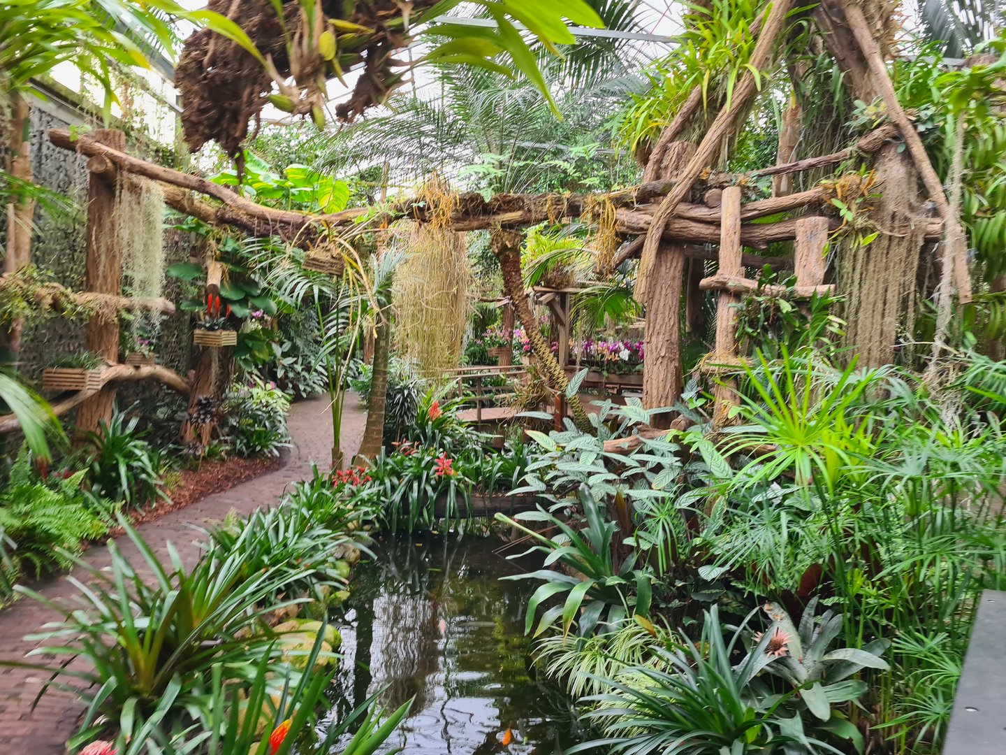 View in Orchid garden hall