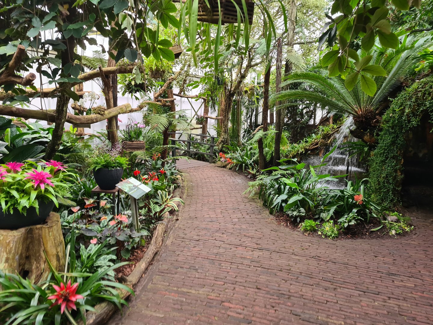 View in Orchid garden hall