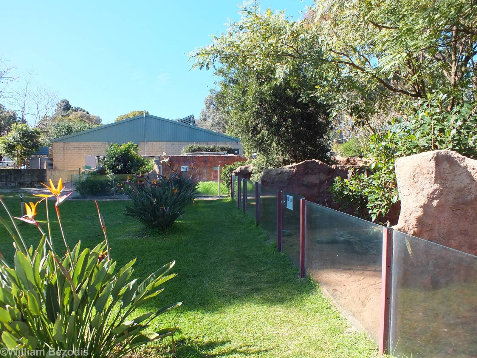 View in Outdoor Area Looking Back to Main Reptile Barn