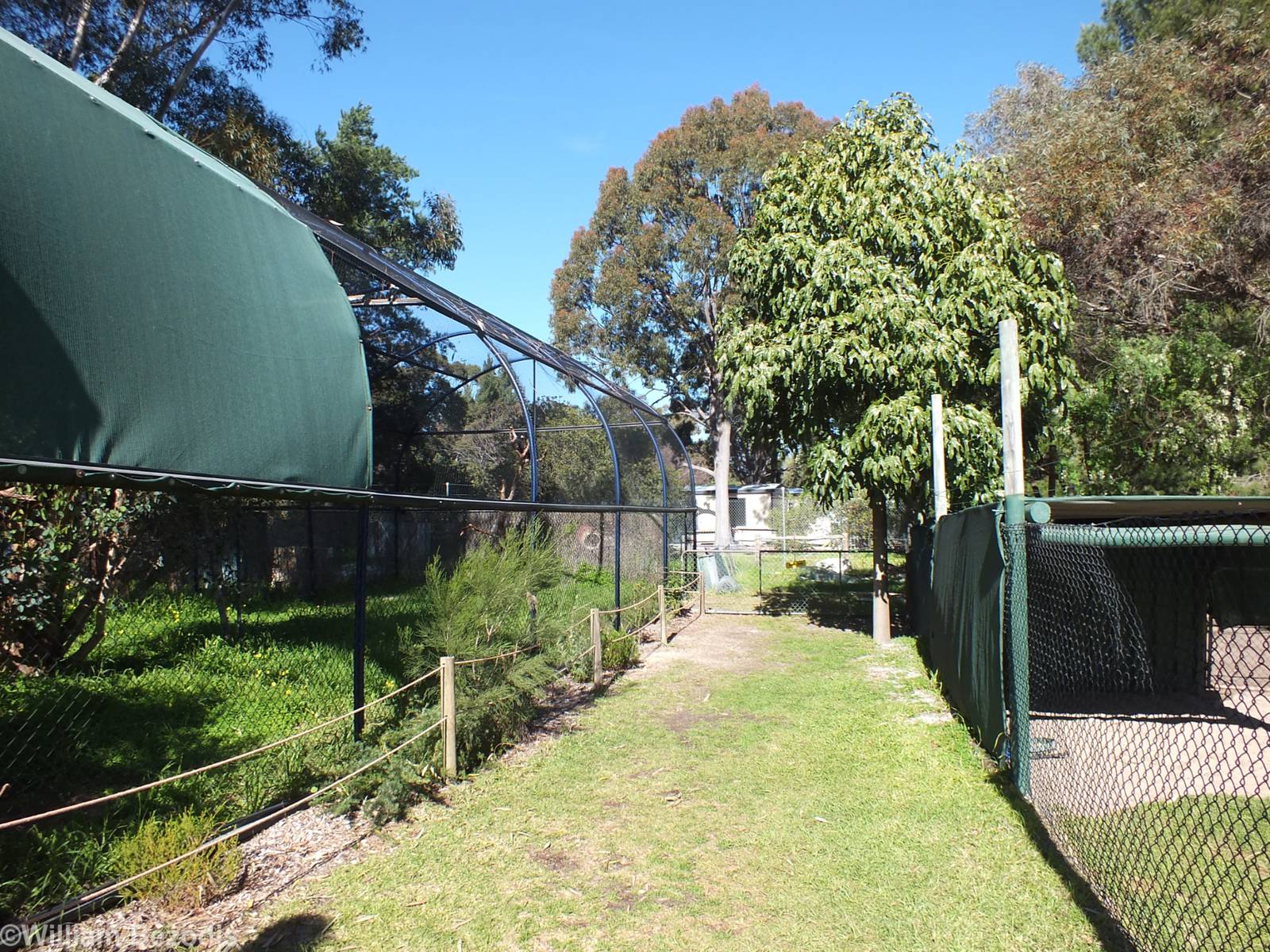 View in Outdoor Area (Wedge-tailed Eagle, left, and Macropod enclosure, rig
