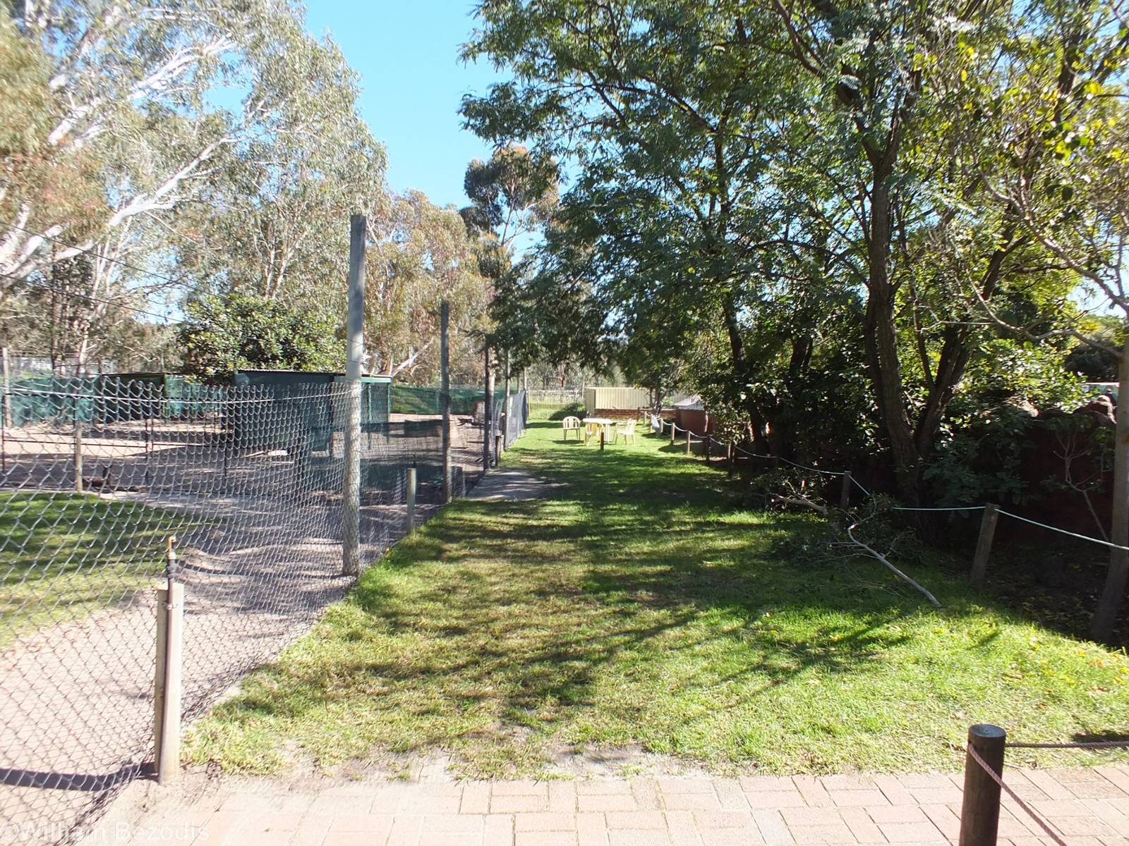 View in Outdoor Area, with Macropod Enclosure on the left