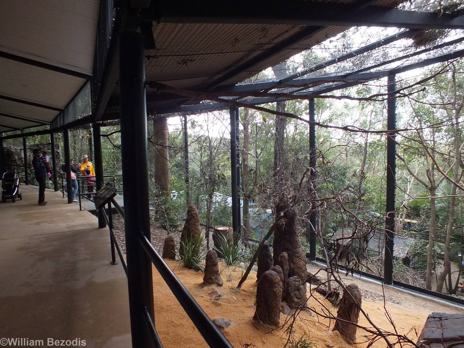 View in Parrot/Lorikeet Walkthrough