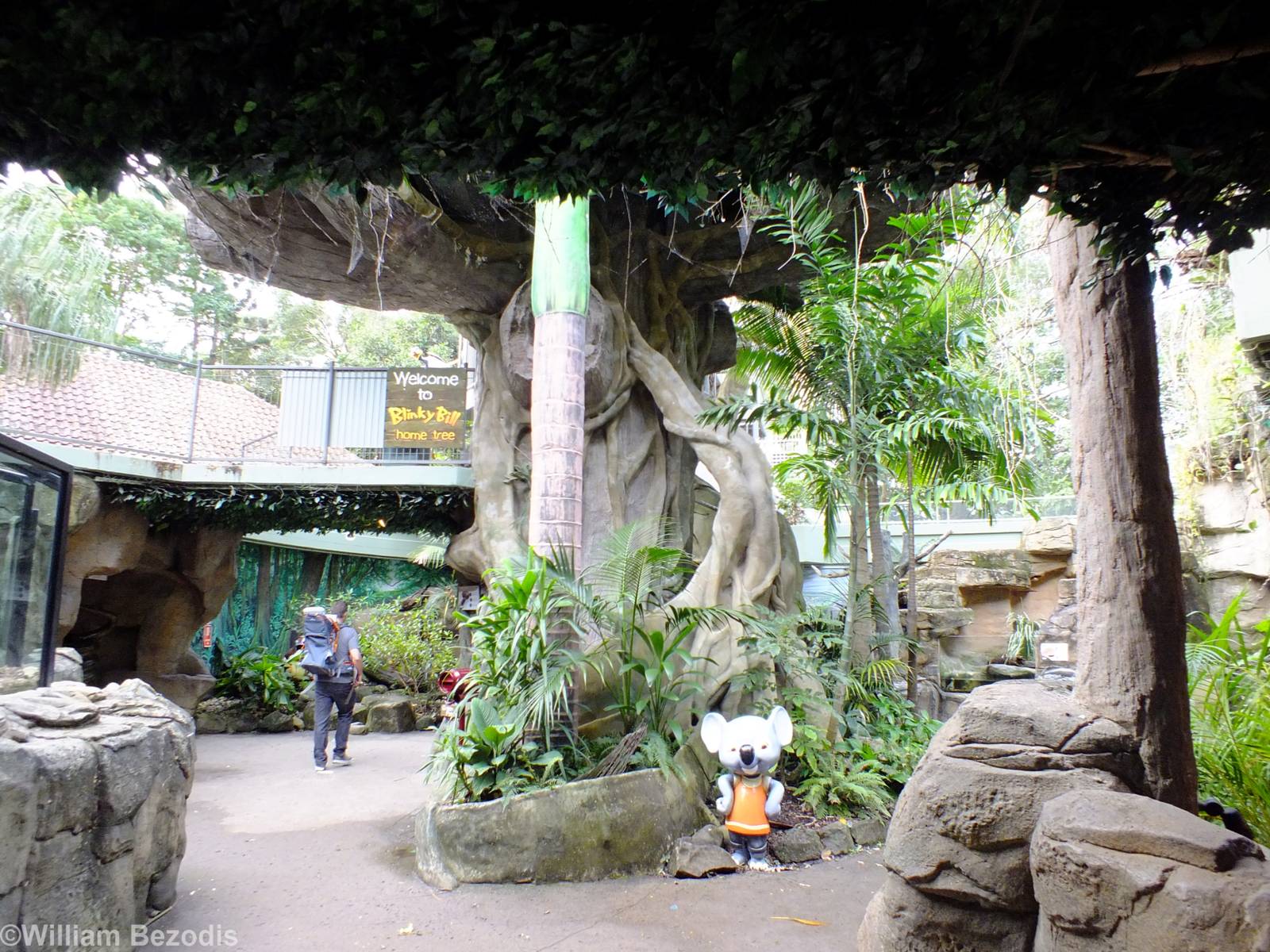 View in Part of 'Blinky Bill's Home Tree'