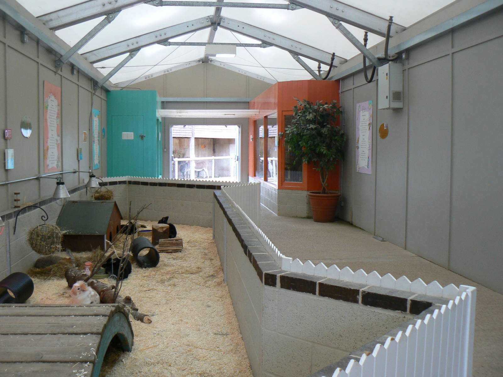 View In Pets At Twycross- 17 October 2015