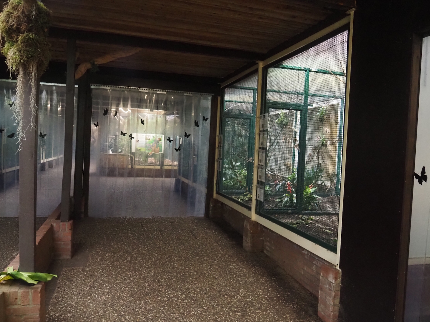 View in Pukara, 2024-05-22