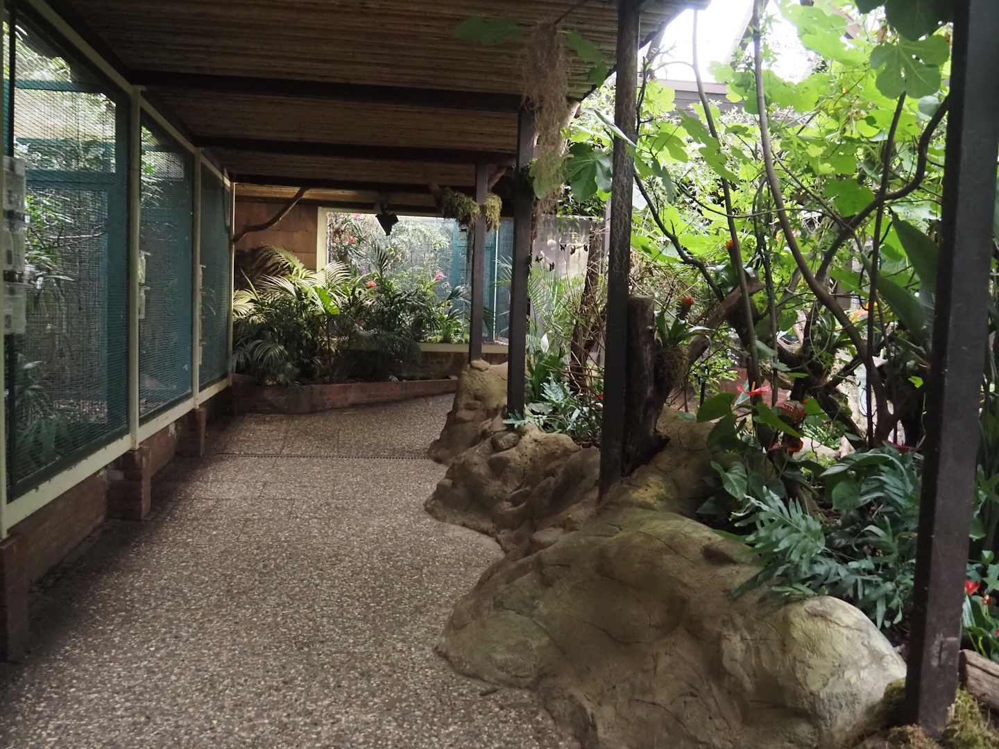 View in Pukara, 2024-05-22