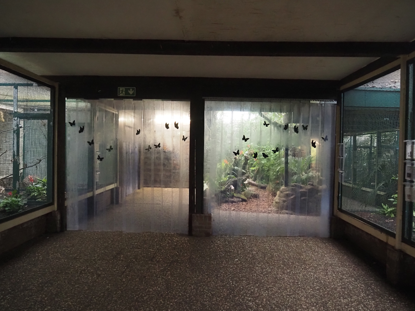 View in Pukara, 2024-05-22