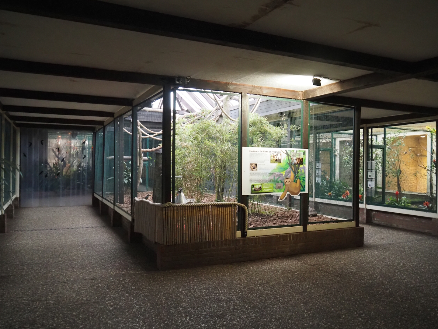 View in Pukara - Aviaries and Two-toed sloth, Red-footed tortoise and Chestnut-eared aracari exhibit, 2024-05-22