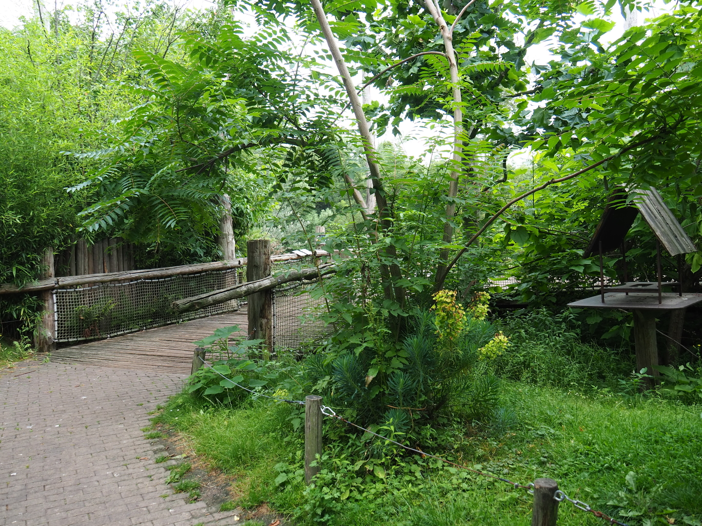 View in Puna aviary, 2019-07-21