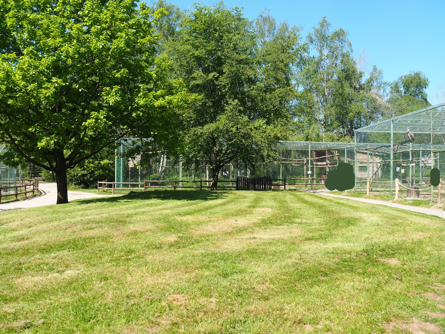 View in raptor area, 2023-05-19