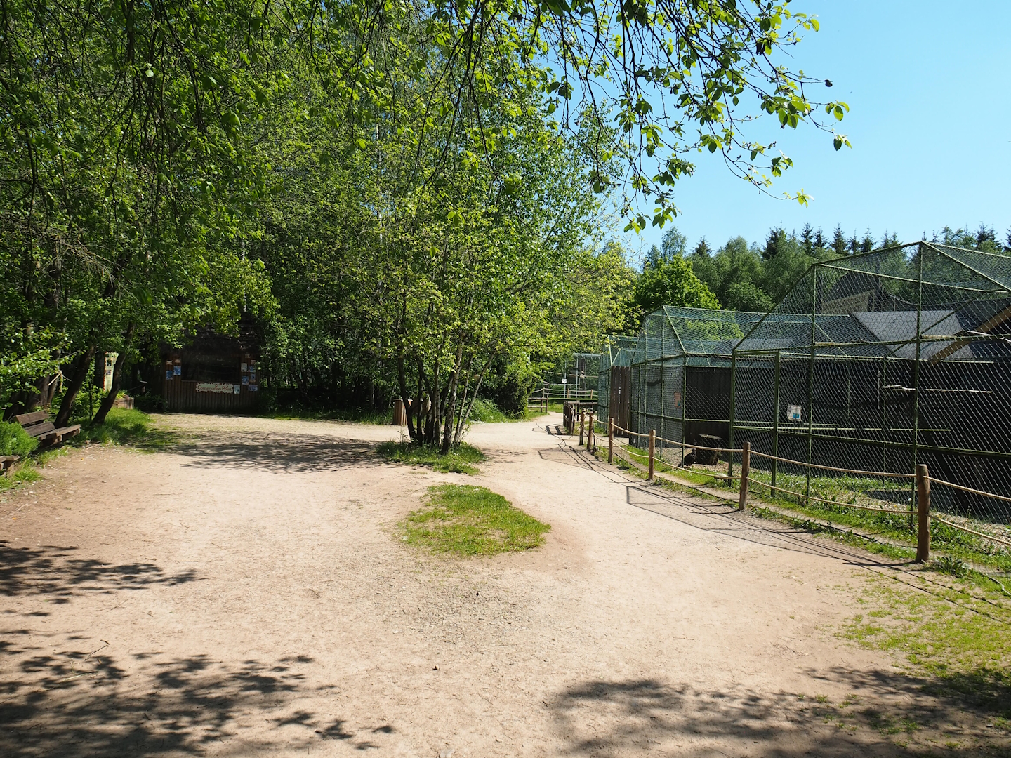 View in raptor area, 2023-05-19