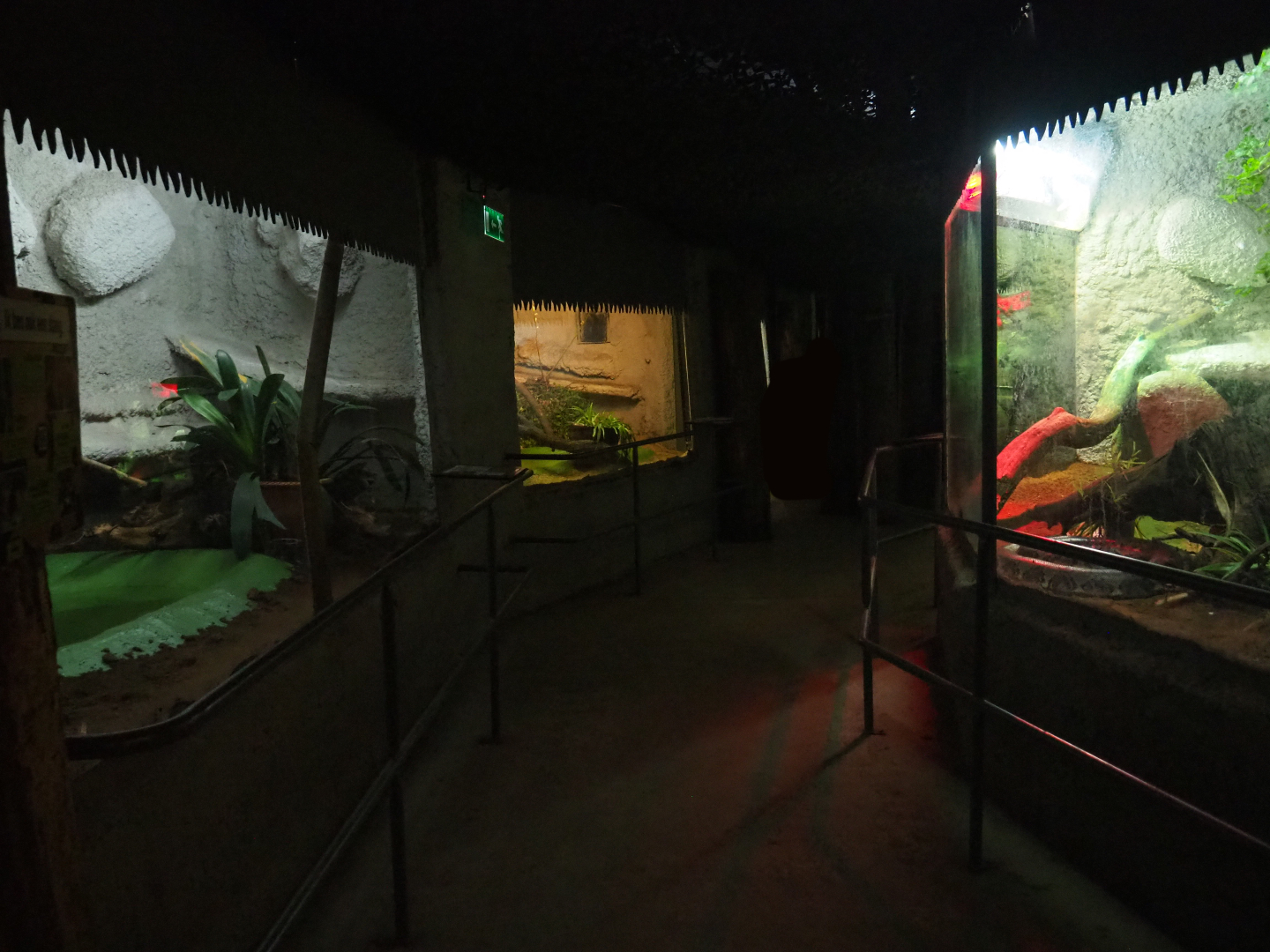 View in reptile corridor, 2019-08-04