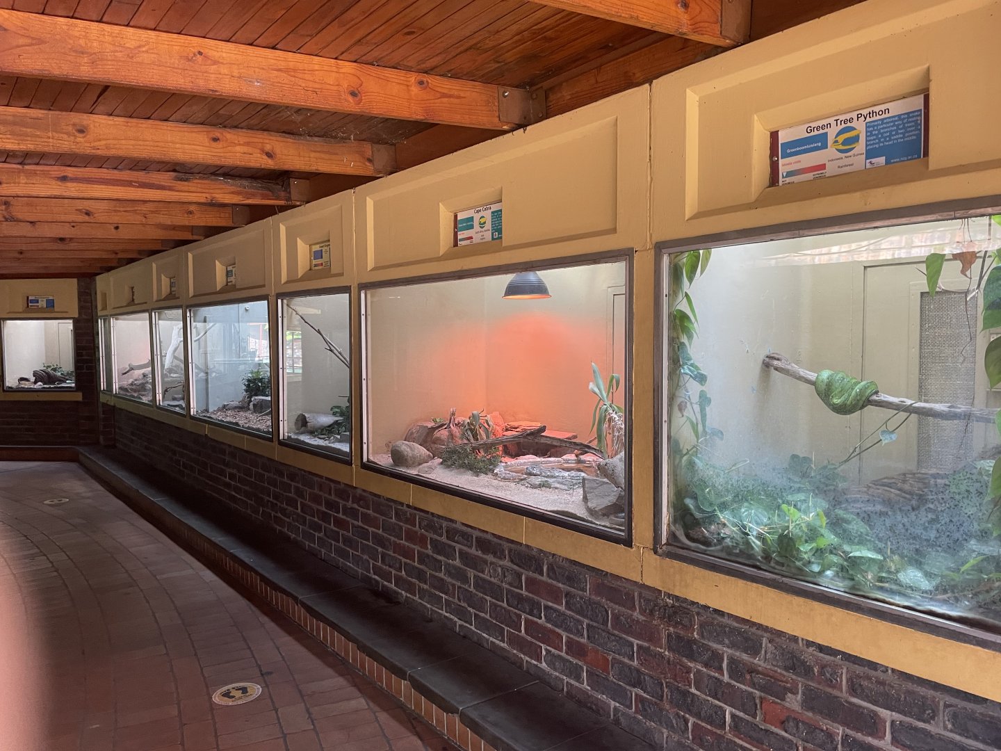 View in Reptile Hall