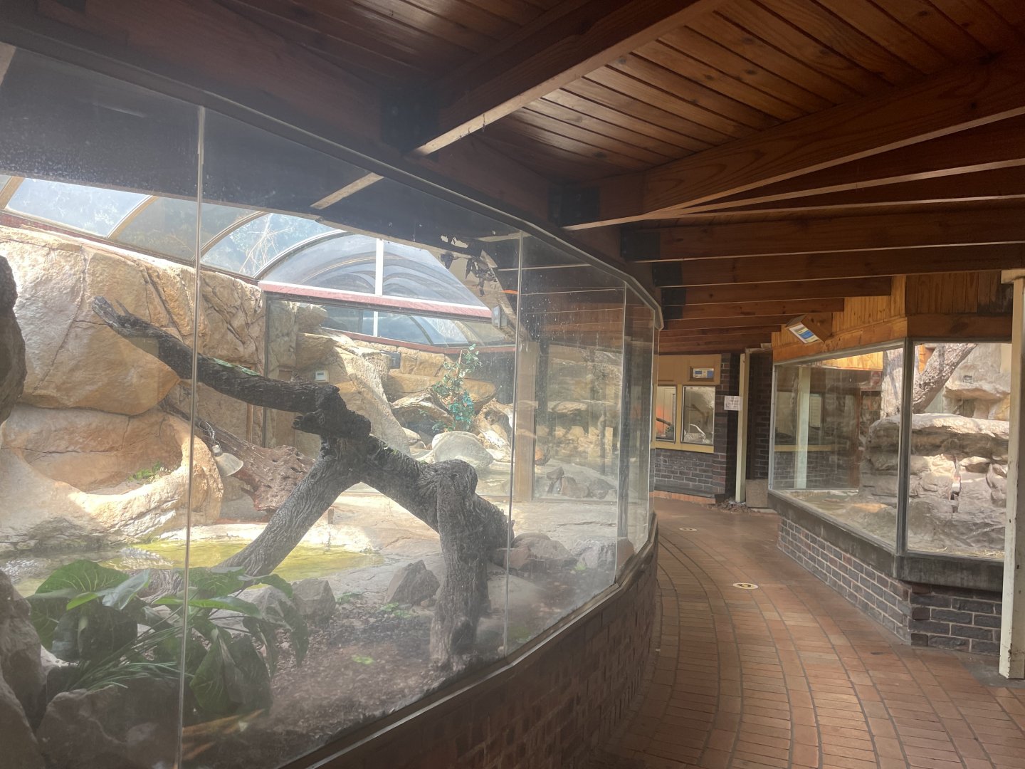 View in Reptile Hall