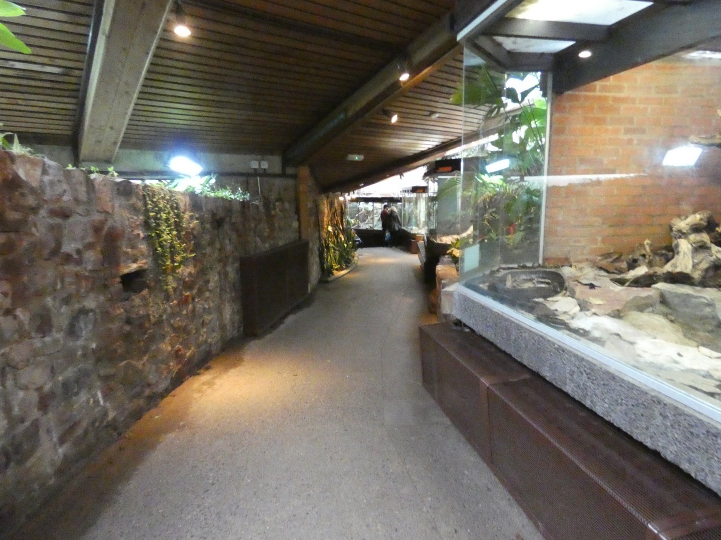 View in reptile house (2)