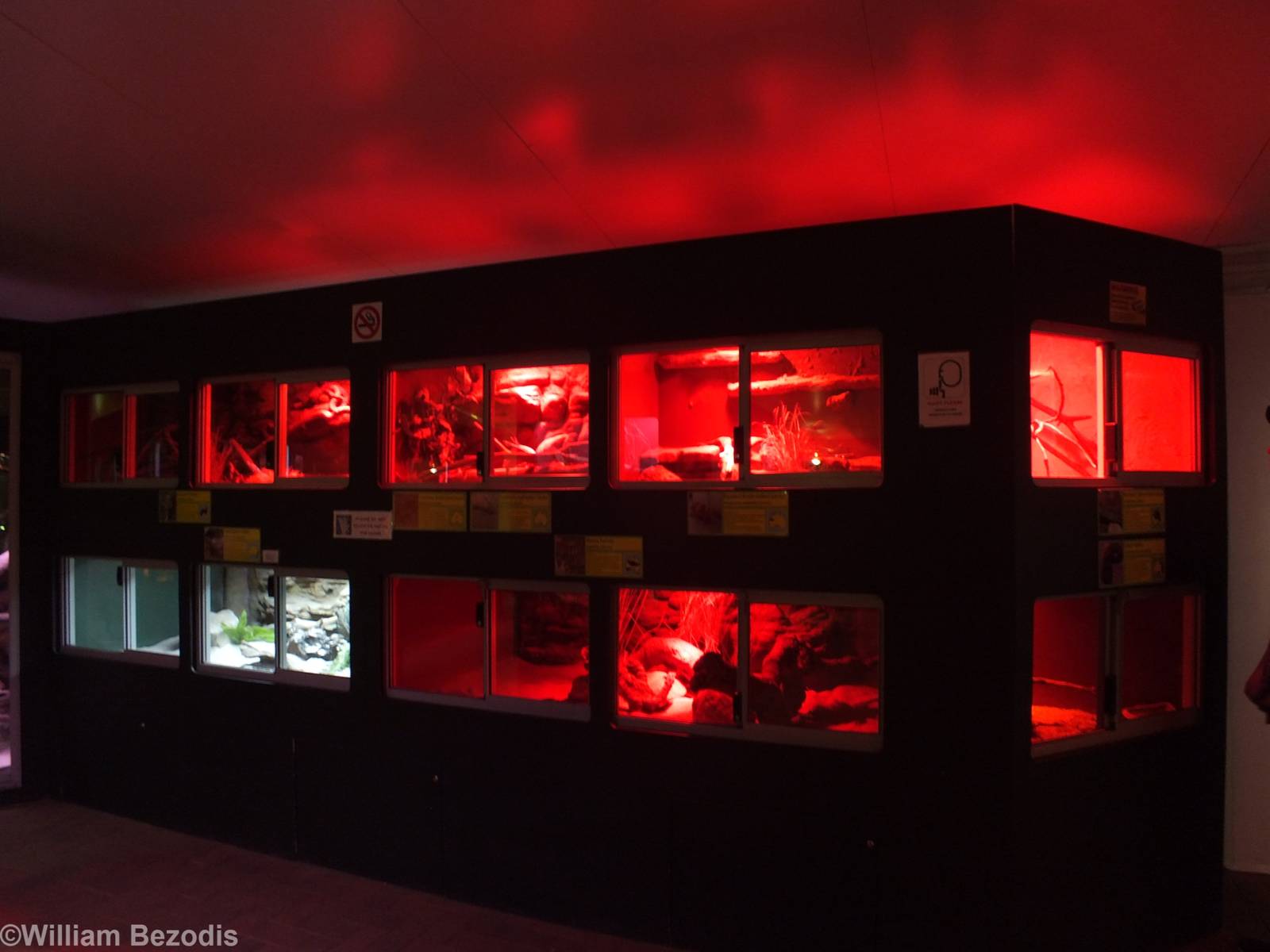 View in Reptile House - Caversham Wildlife Park