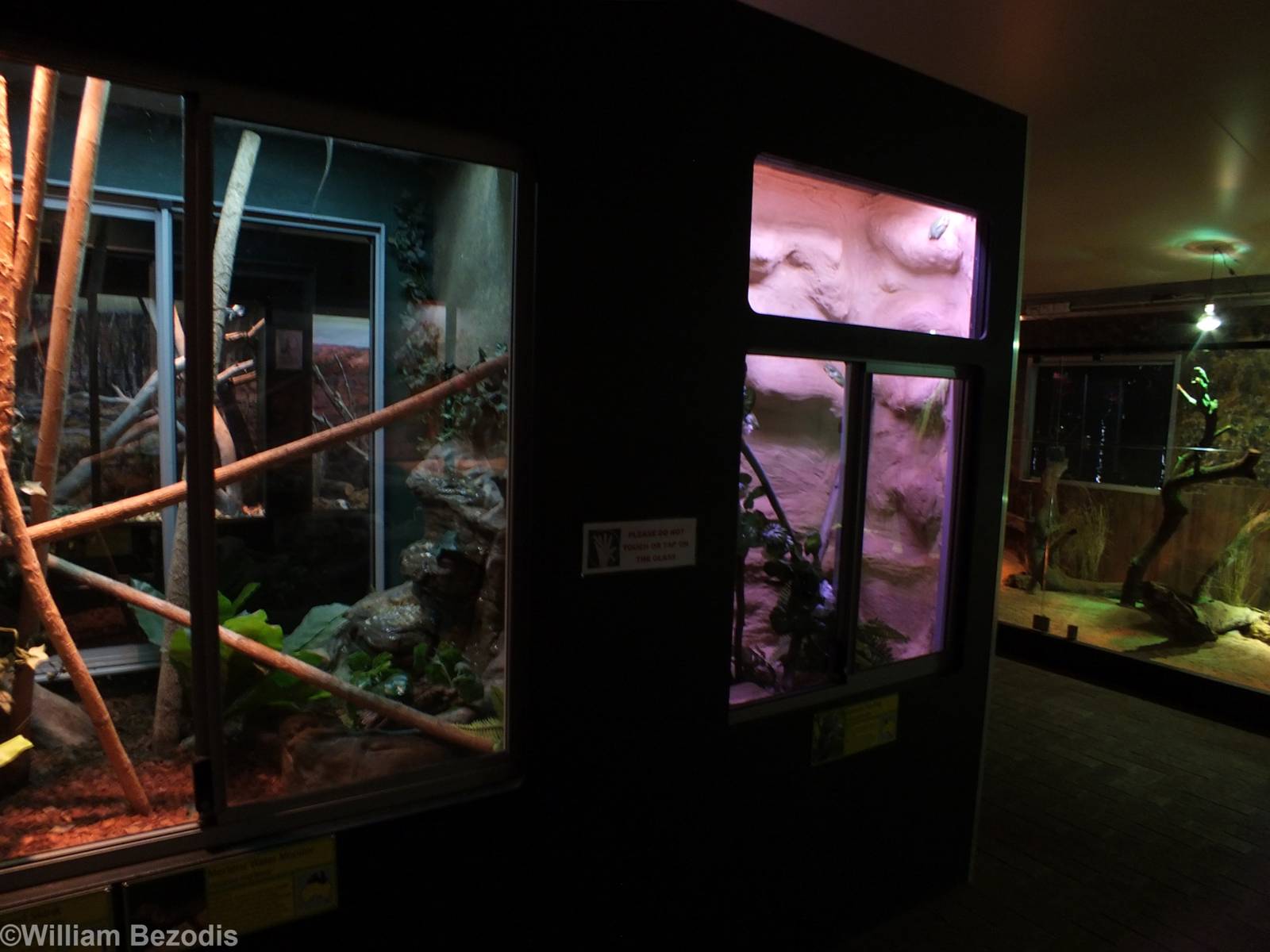 View in Reptile House - Caversham Wildlife Park