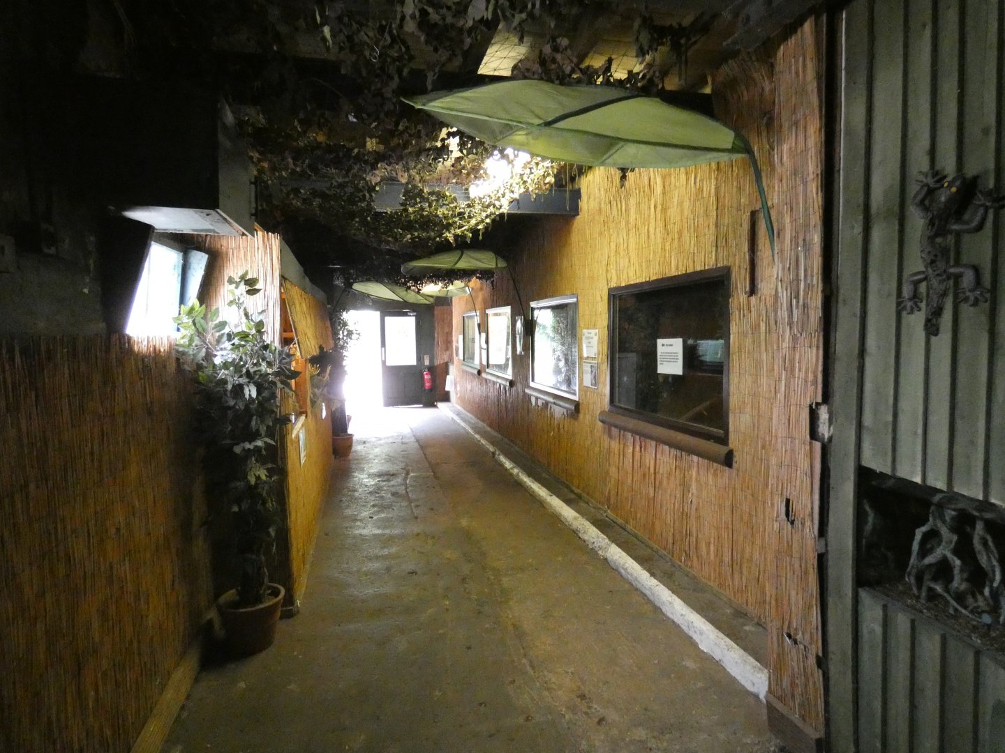 View in reptile house (Greenacres Animal Park)